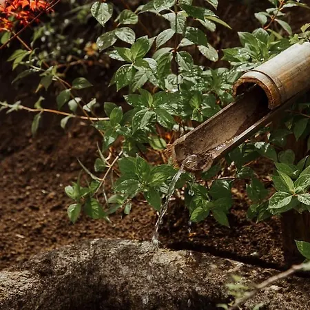 Villa Casa De Covés